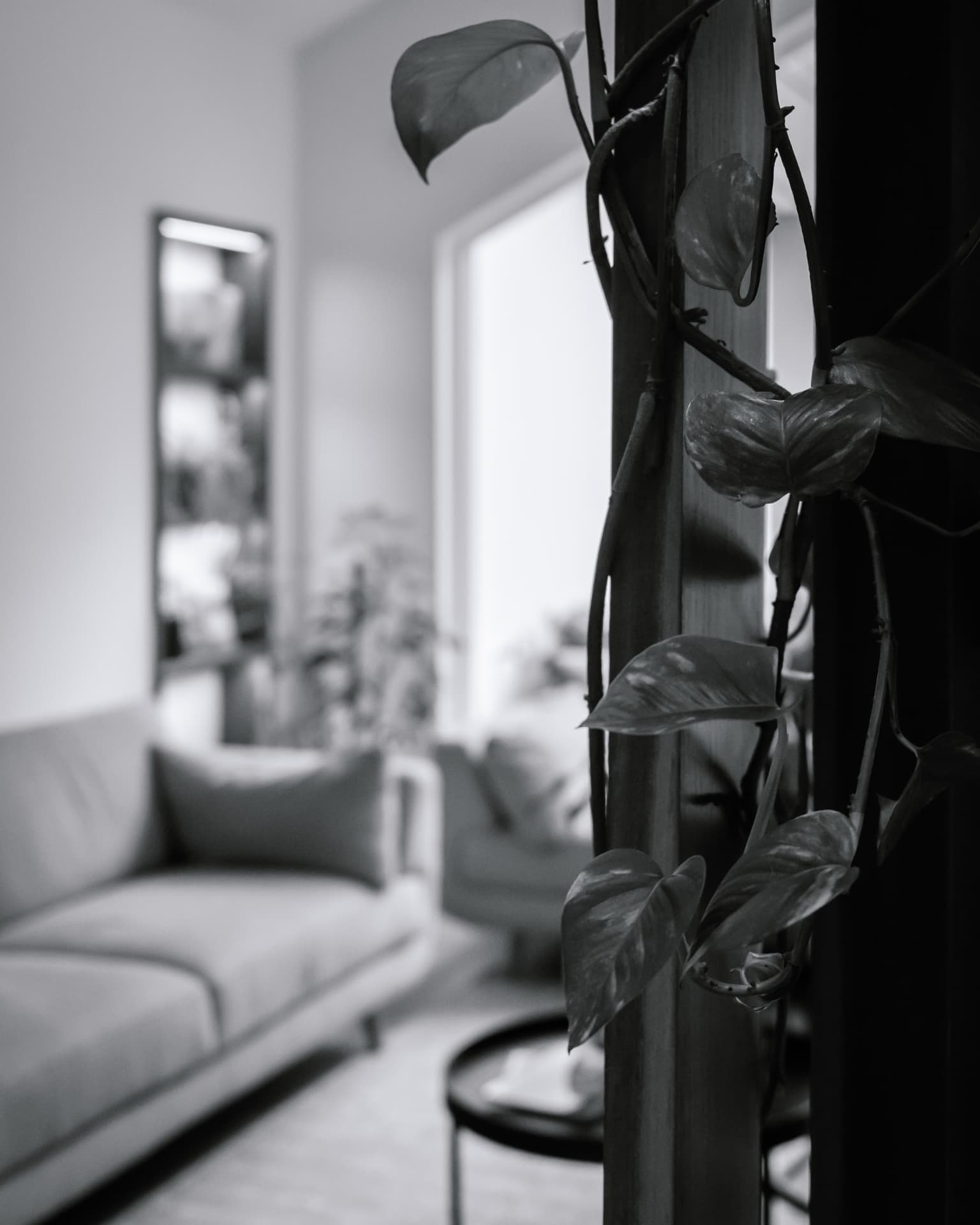 A quiet detail of the waiting room at Red Hill Dental Practice